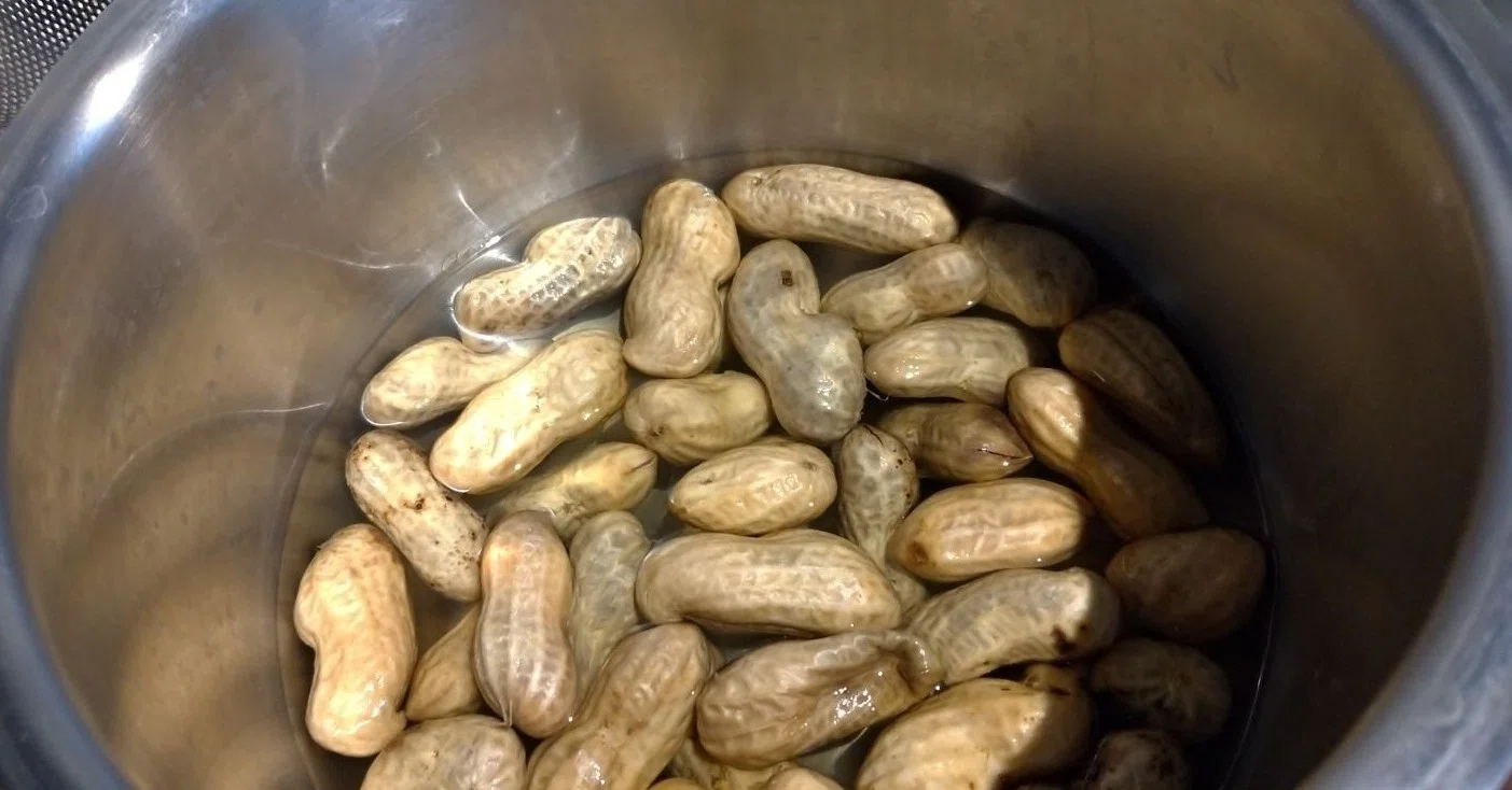 コンロ使わないもん ホットクックで生落花生の塩茹で おがばん 拝万里 Note
