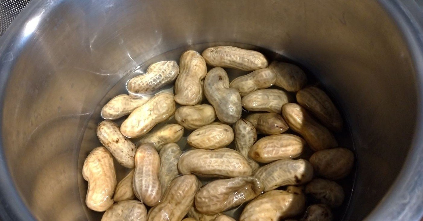 コンロ使わないもん ホットクックで生落花生の塩茹で おがばん 拝万里 Note