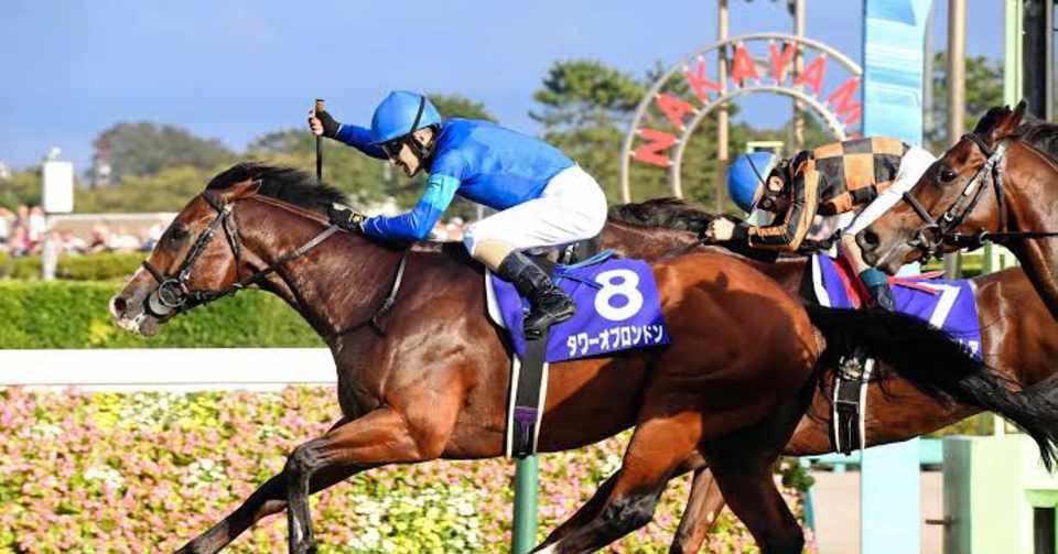 G1 スプリンターズステークス Keiba Hiolfe Note