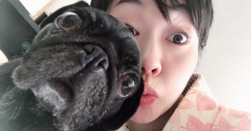犬との距離感 私は 飼い主 ママ なのか 上杉 惠理子 Note