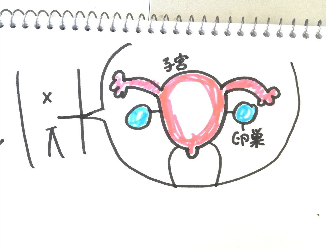 赤ちゃんってどこからくるの 奇跡の妊娠 精子の大冒険編 まず ママパパ知識つけてね 助産師tsubasa Note