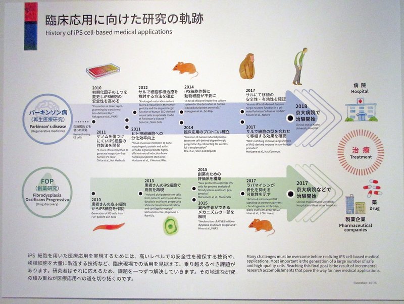 04．研究の軌跡