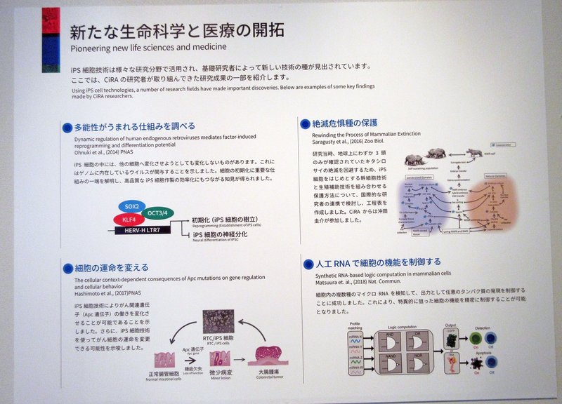 09．開拓