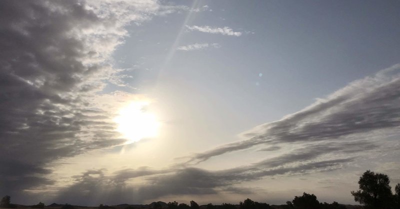 新卒半年退職の記録 Hugashi Note