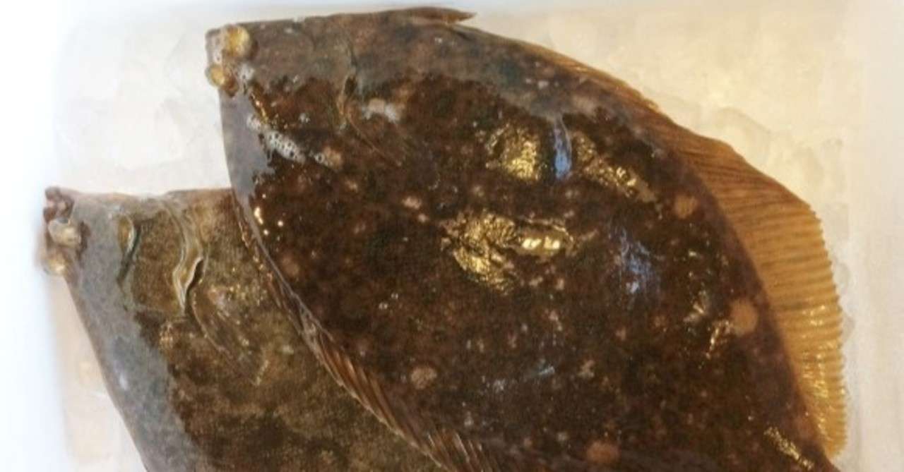 ひらめの糖質とカロリーが1秒でわかる ダイエット向き 糖質制限ダイエットshiru2 ねこた Note