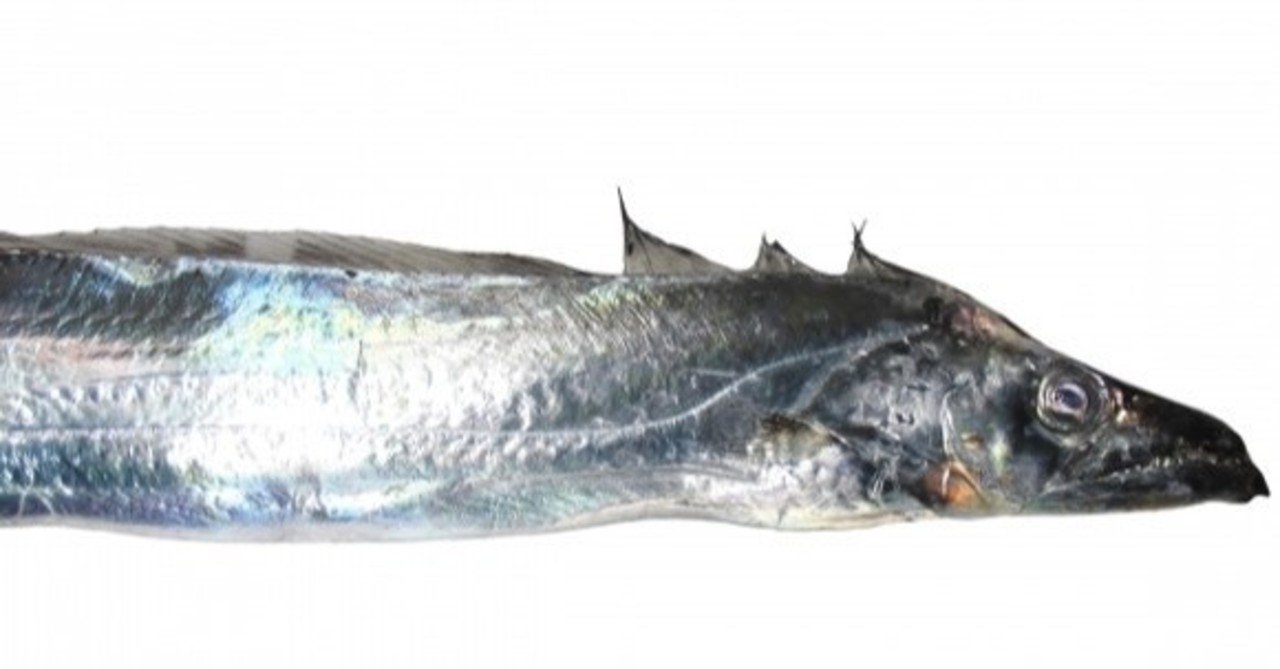 太刀魚の糖質とカロリーが1秒でわかる ダイエット向き 糖質制限ダイエットshiru2 Note