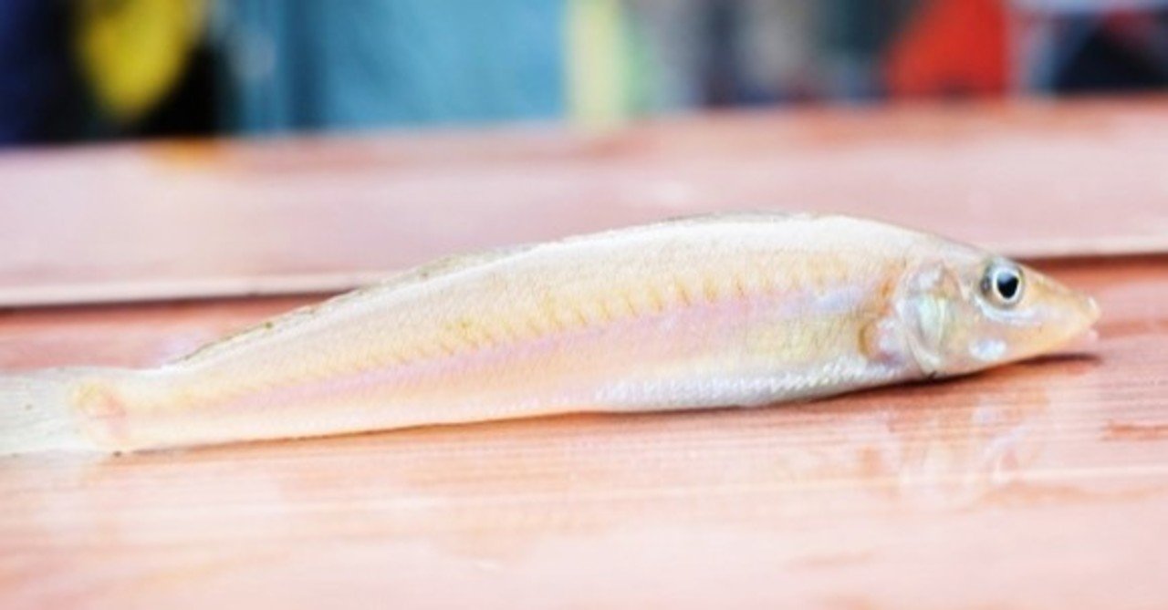 キスの糖質とカロリーが1秒でわかる ダイエット向き 糖質制限ダイエットshiru2 Note キスの糖質とカロリーが1秒でわかる ダイエット向き 糖質制限ダイエットshiru2 Note