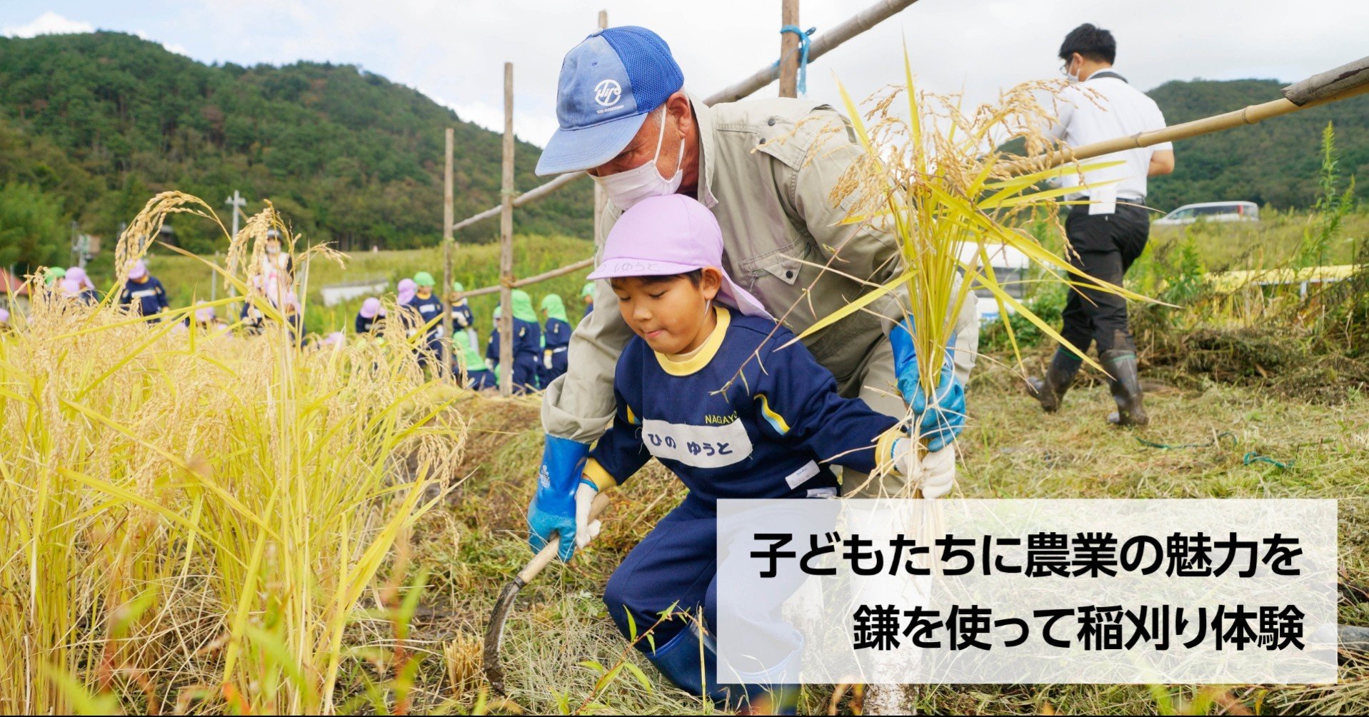 鎌で稲刈り 楽しい 石巻 長浜幼稚園 神戸支縁機構が協力 石巻days 未来都市の生き方 Note 鎌で稲刈り 楽しい 石巻 長浜幼稚園 神戸支縁機構が協力 石巻days 未来都市の生き方 Note