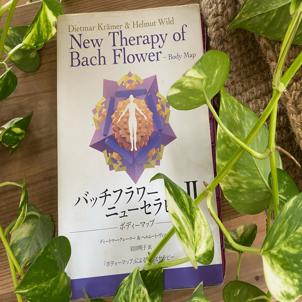 フラワーエッセンスはあやしい！？｜koikeの菜園日記