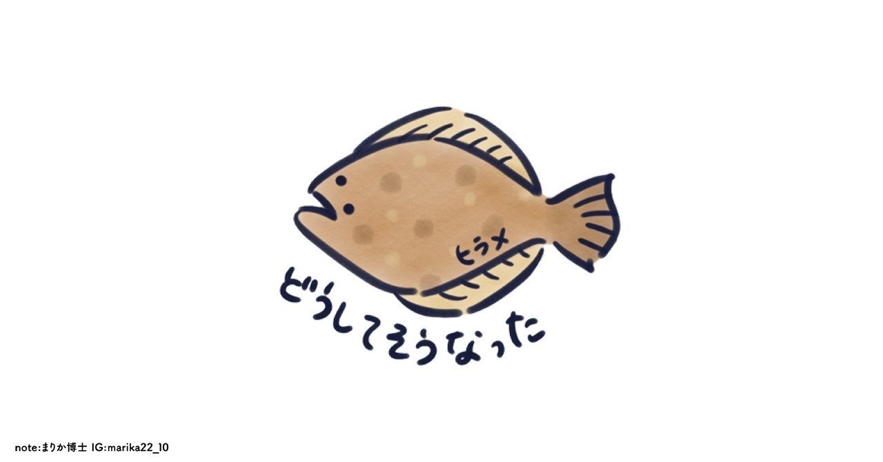 海の生き物 ヒラメ まりか博士 Note