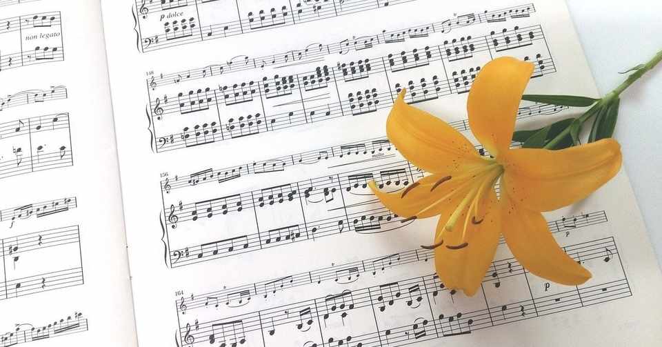 コラボ企画 オリジナル曲に歌詞をつけてくださる方を募集します 3曲ともご担当者が決まりました Pistachioピスタチオ Note