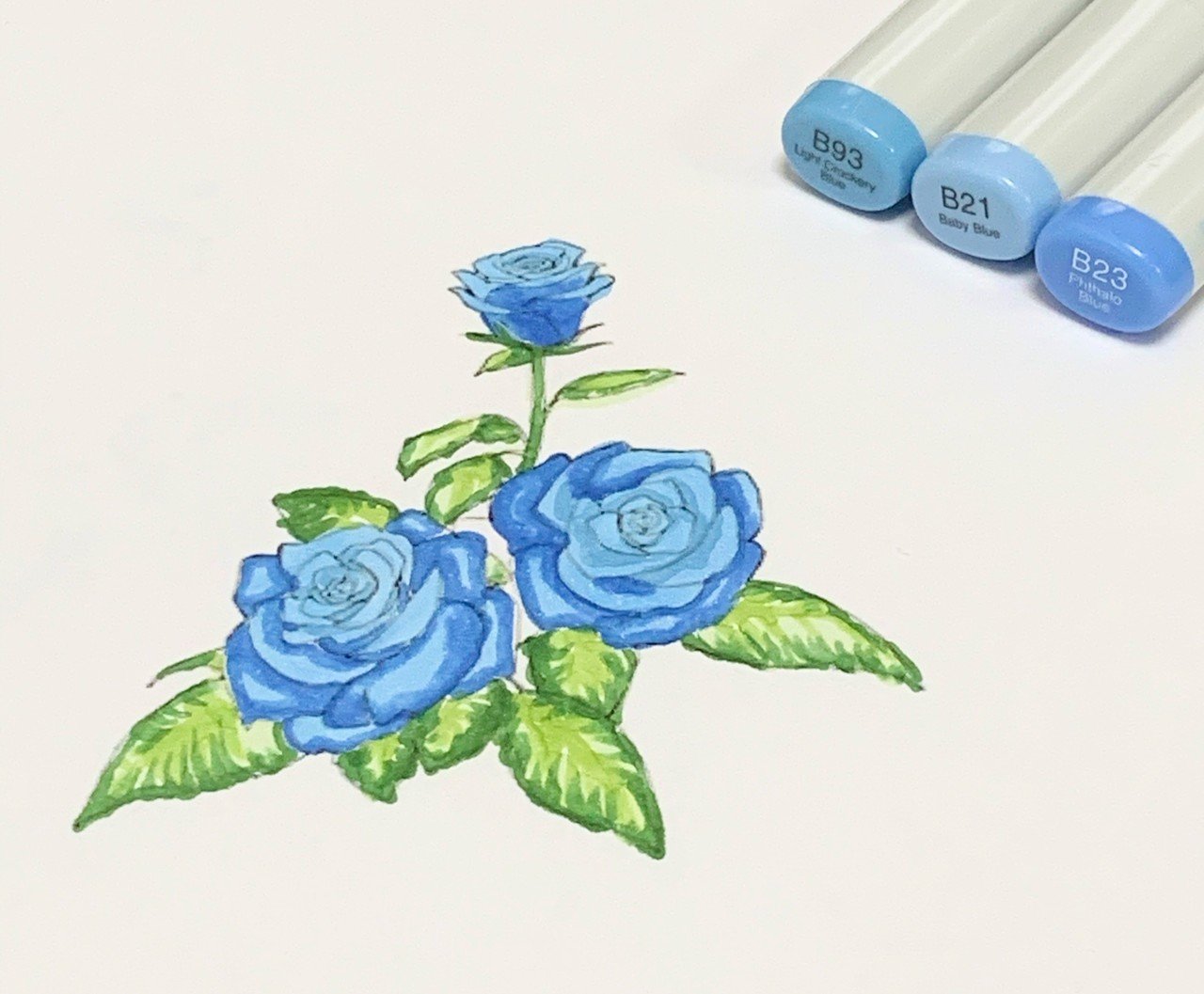 1ヶ月チャレンジ コピック Akari N Note 1ヶ月チャレンジ コピック Akari N Note