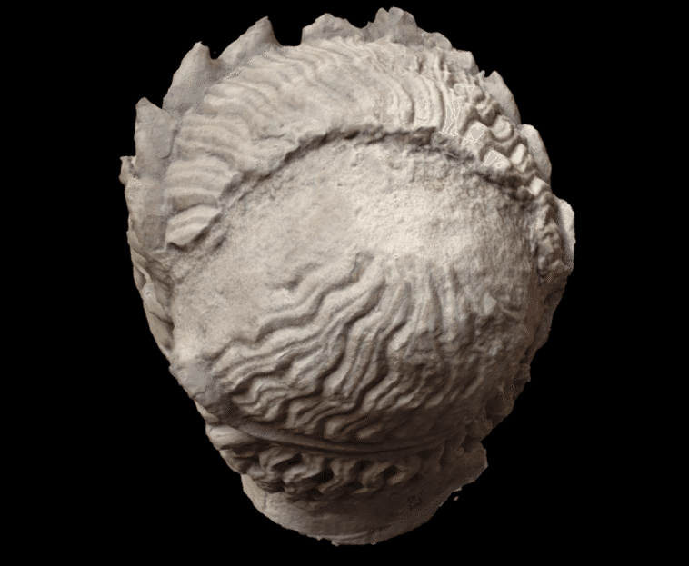 大英博物館　英国のキリスト教3部作　インタラクティブCDR 大英博物館のオンライン「3Dモデル」！｜高橋昌一郎