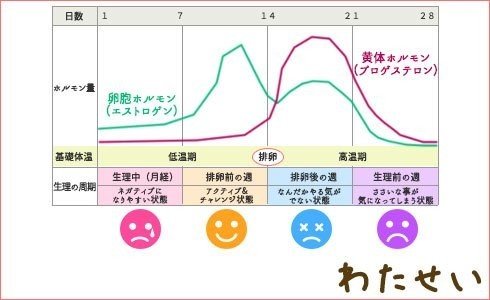 ホルモンバランス画像