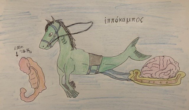 脳を牽引する器官 海馬 の語源ippokamposが面白い きっとこれが夜の夢を持ってきてくれるのだ 八代矢於紀 ヤシロヤオキ オバケ 妖怪 幻想文学の話で海外交流 Note