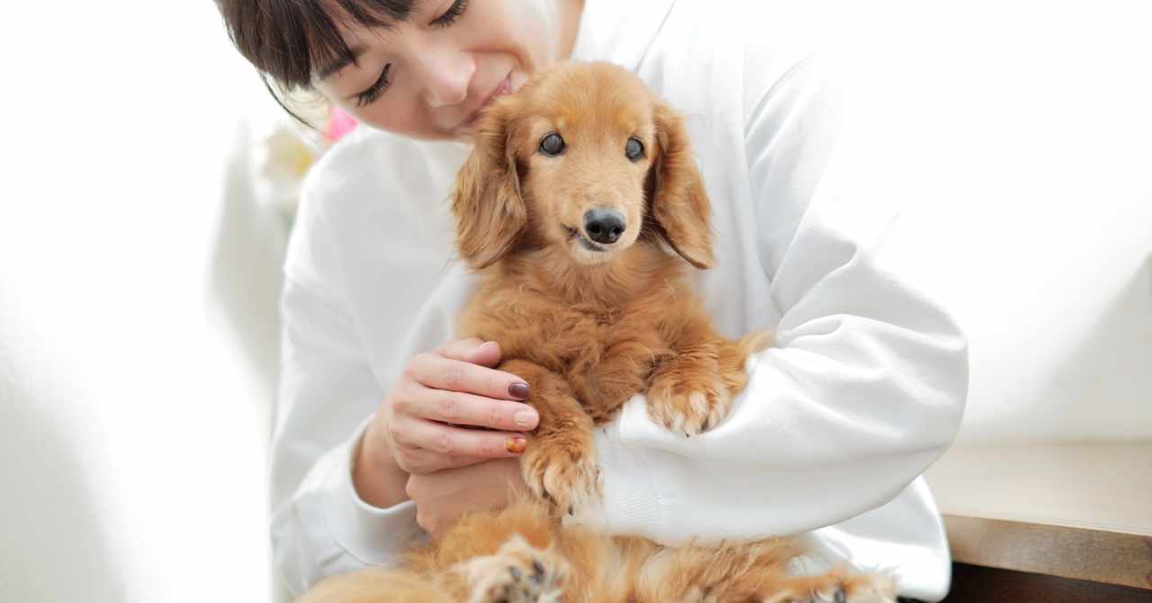 Yuka Note