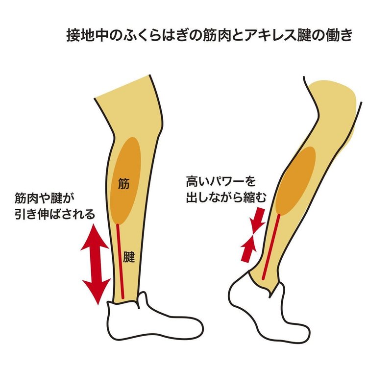 才能 街中なのに やまおくさん Note