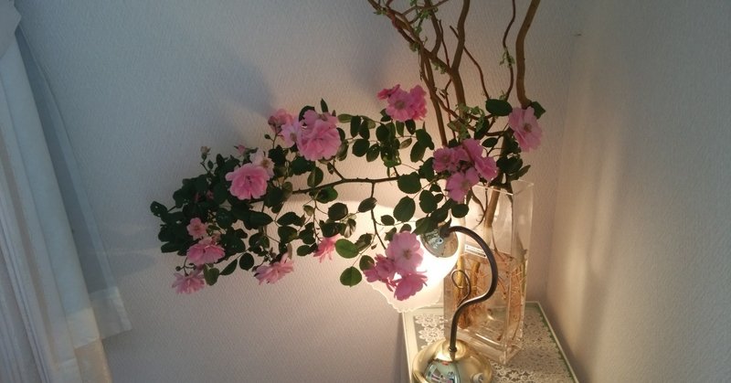 いいところ嫌なところ皆ある プチグレン精油からのメッセージ アロマセラピストsea Note