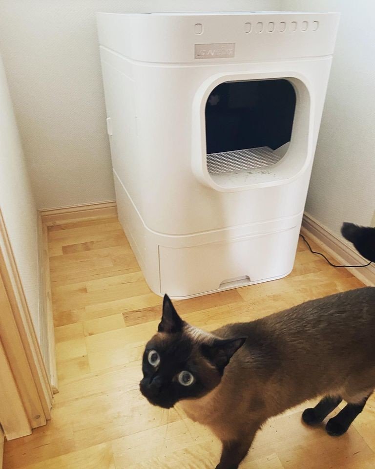 猫のトイレを全自動ロボットトイレにしてみたらとても快適 Lavvie Bot S イセオサム Note