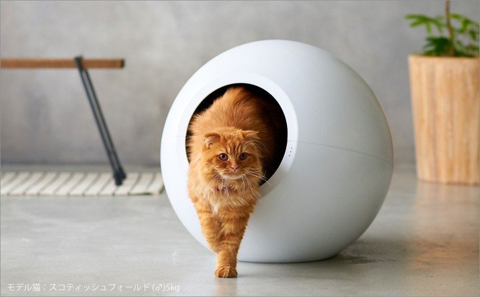 猫のトイレを全自動ロボットトイレにしてみたらとても快適〜Lavvie bot