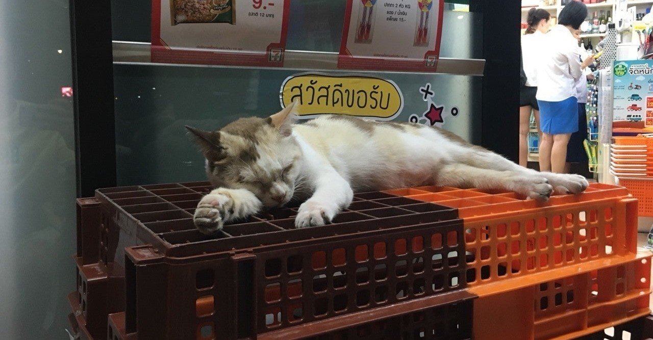 リゼロ2期 前半クール終了 Hide Toyo Note