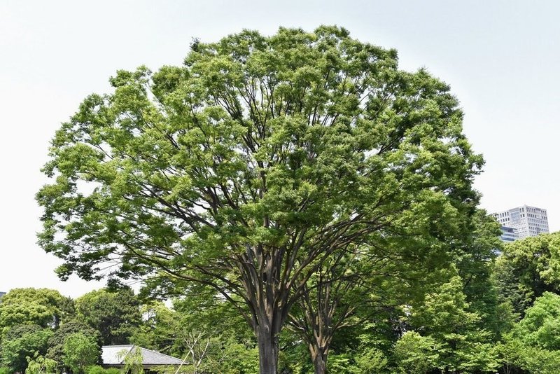 Top Massage ご縁 と 人材 は財産です 谷 隆仁 不動産業界の未来を描く社長 Note