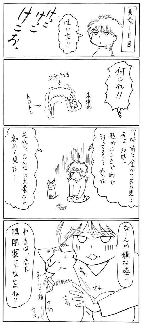 1. 急性腎不全に至るまでの最初の異変。｜紅天 文羽｜note