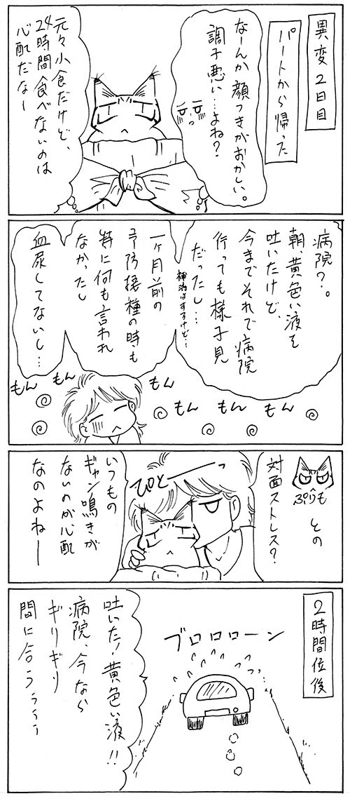 1. 急性腎不全に至るまでの最初の異変。｜紅天 文羽｜note