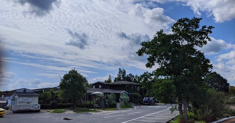 敷地面積約1000坪 琵琶湖の湖畔に佇む一軒家カフェレストラン Wtls9429 Note 敷地面積約1000坪 琵琶湖の湖畔に佇む一軒家カフェレストラン Wtls9429 Note
