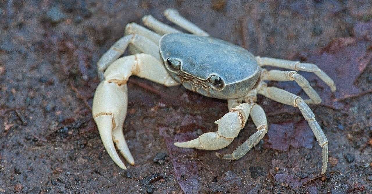 メタグロス の新着タグ記事一覧 Note つくる つながる とどける