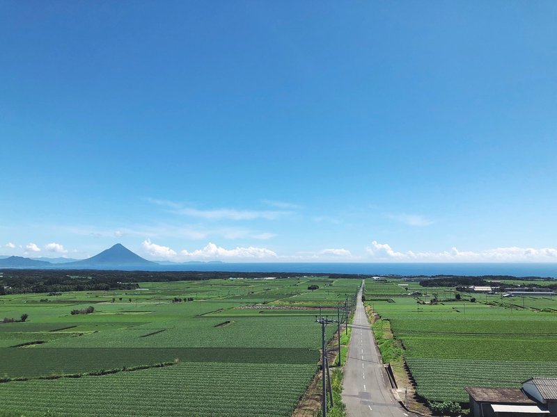 鹿児島県枕崎市に移住した篠塚立夏さんのlocal Match Story 時間だけはたっぷりある協力隊 チャンスを活かさない手はない Lifull 地方創生 Note