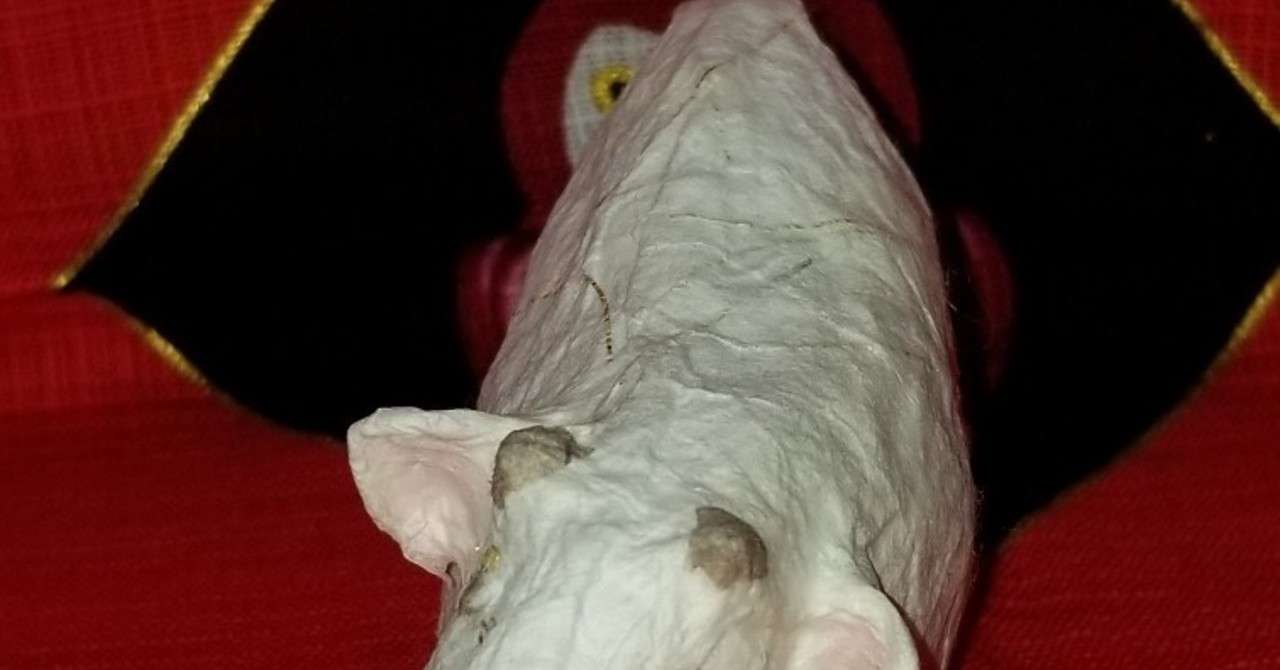 楽園ーrの物語ー ブーケ Note