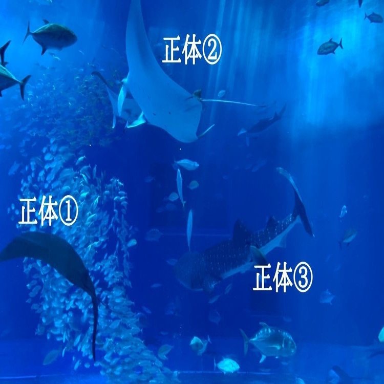 彼氏に愛されてない と悩んでいたら読んでください 辛い気持ちの正体3つを解説 美織 Note