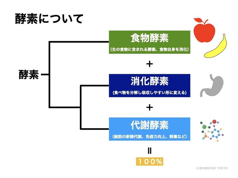 分子栄養学で考える ファスティング の意味 山本卓満 Hqctokyoの栄養おたく兼取締役 Note