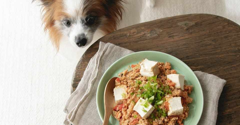 辛くない オートミール入り赤い麻婆豆腐 月額限定 手作り犬ごはんレシピ いちかわあやこ 犬ごはん先生 Note