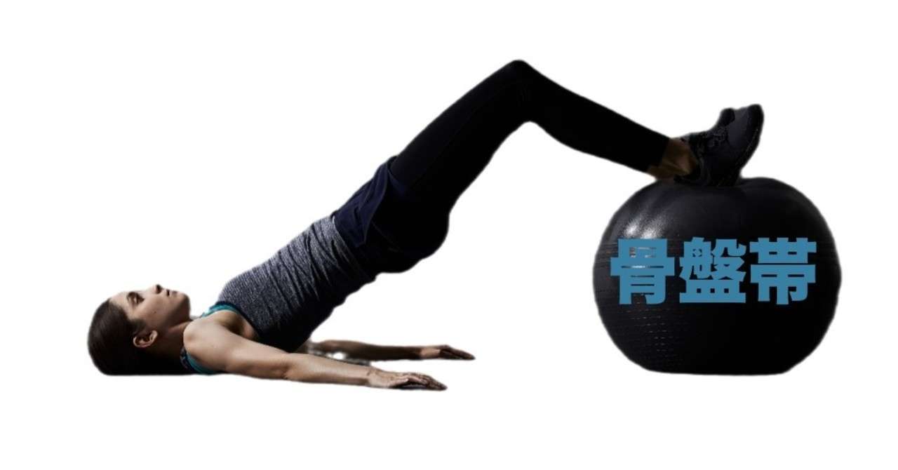 骨盤帯 股関節の理学療法 運動連鎖 平 純一朗 Pt Jspo At Note