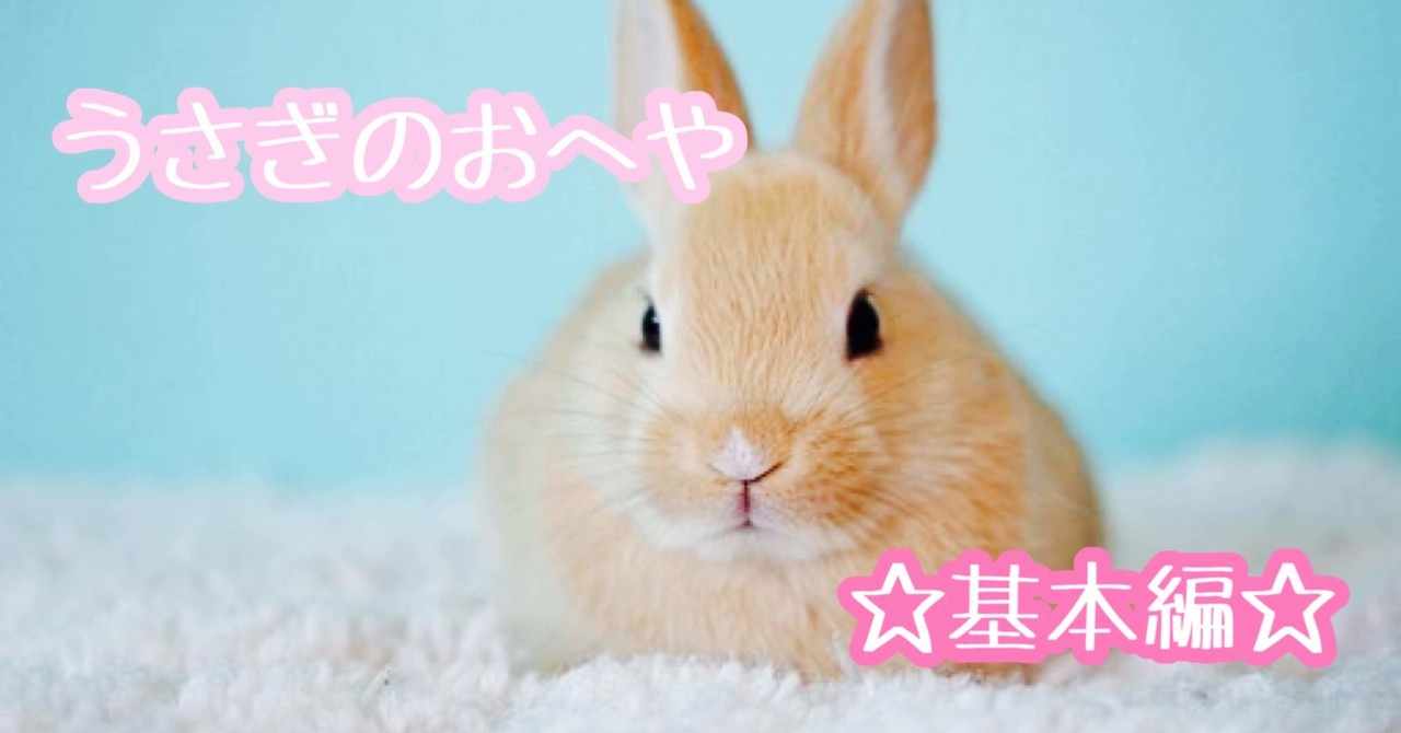 うさぎと暮らす の新着タグ記事一覧 Note つくる つながる とどける