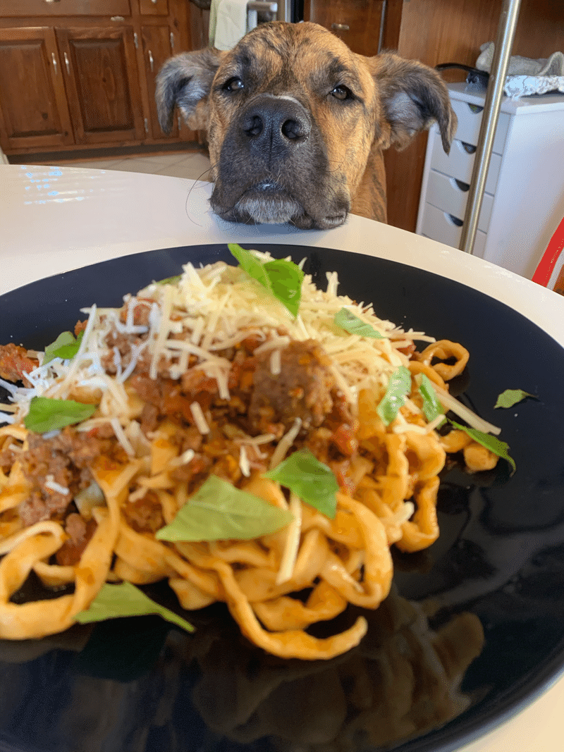 ブルーベリーマフィン Remi Inari 作曲家 Note