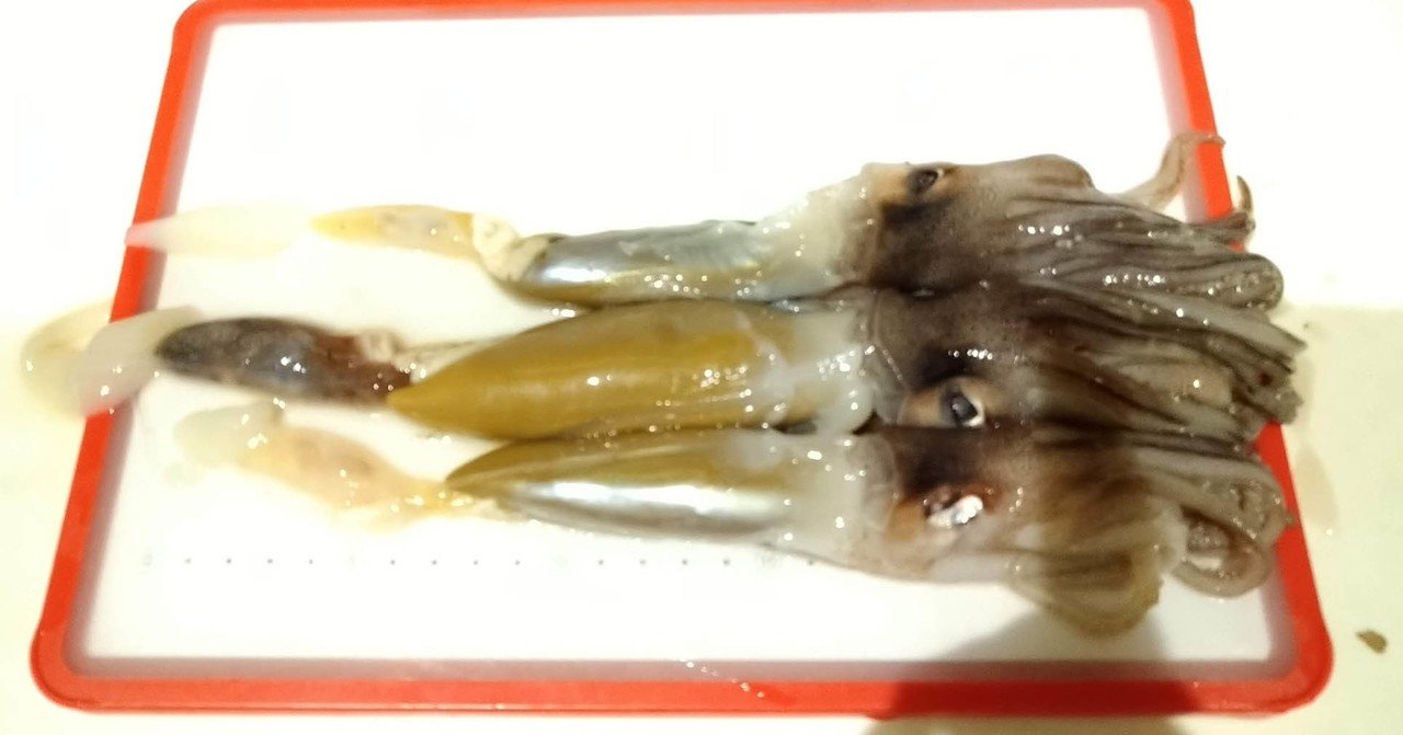 イカが教えてくれた大切なこと Lesson 1 4 チョコチップクッキー Note