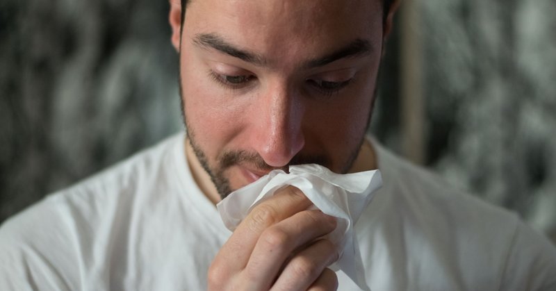 季節の変わり目によく風邪をひく話 はやぶさ Note 季節の変わり目によく風邪をひく話 はやぶさ Note