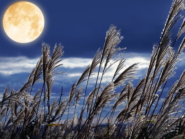 満月は女性を艶らしくする 亜依 Note