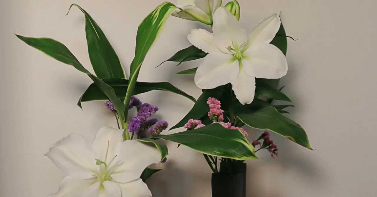 生け花写真 の新着タグ記事一覧 Note つくる つながる とどける 生け花写真 の新着タグ記事一覧 Note つくる つながる とどける