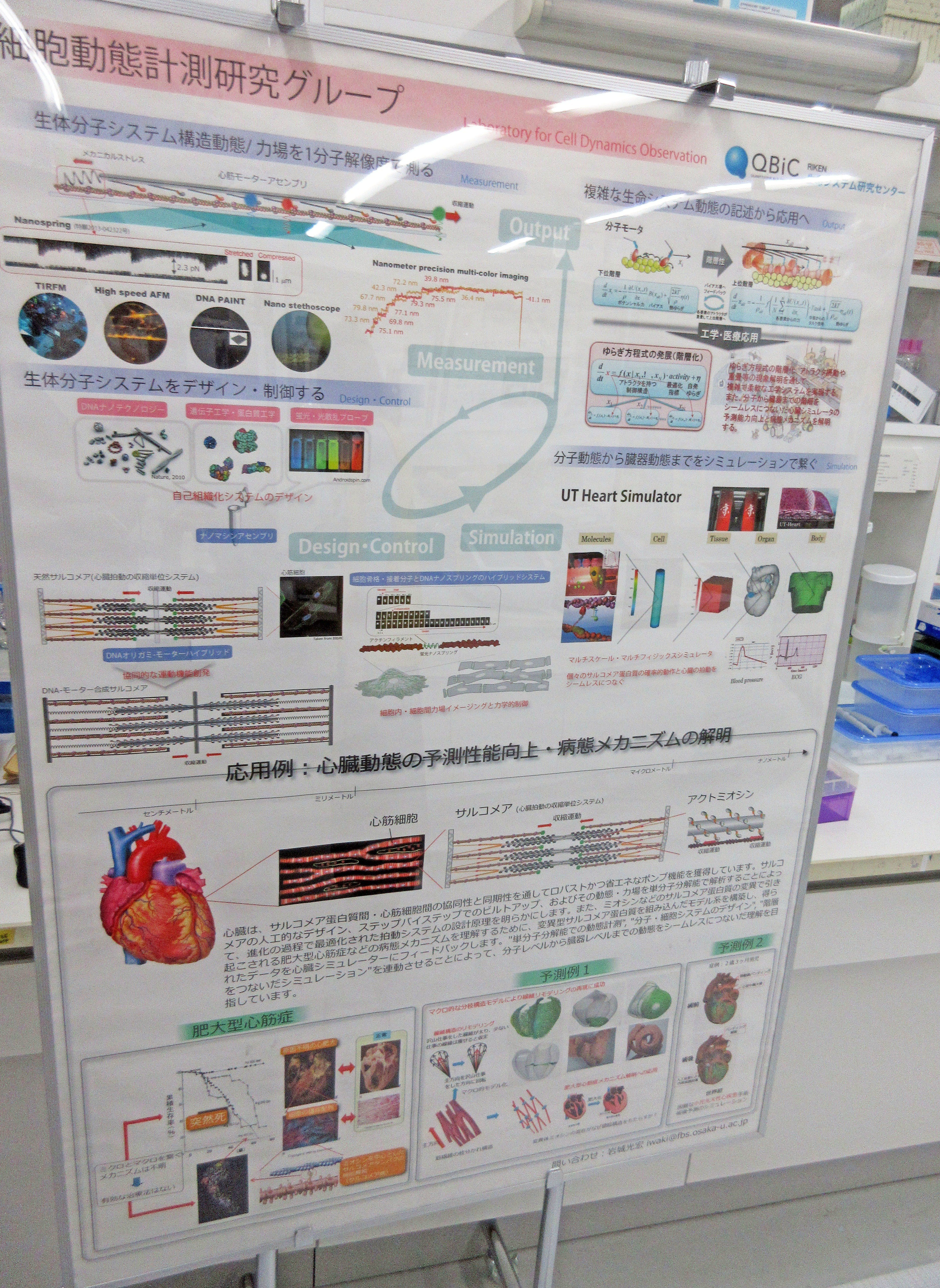 分子と細胞の世界をのぞいてみよう！：理化学研究所 大阪地区 一般公開2019から学んだこと その01｜たけっち｜note