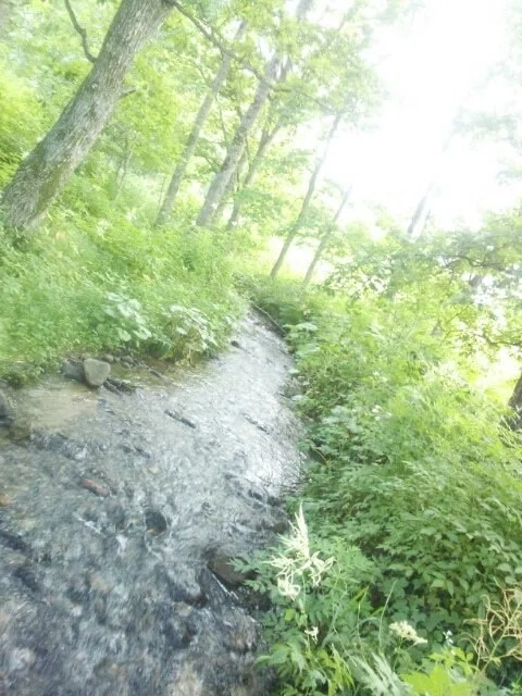 川 川 キレイ