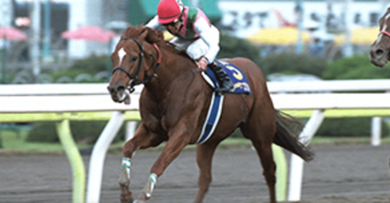 僕の血統自論 サウスヴィグラス 競馬とジャグラーと手巻き煙草と愛する妻との残された日々を Note