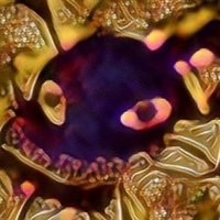 読書感想文その３ 数学の言葉で世界を見たら 父から娘に贈る数学 シュンドルボン Note