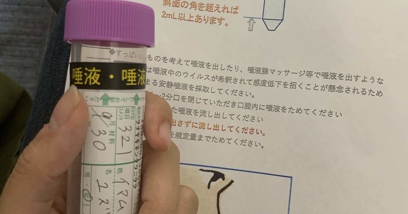 日本一周準備3 続PCR検査はしんどい