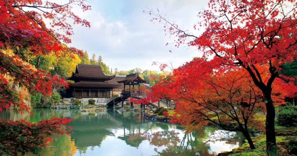 永保寺庭園 禅僧 夢窓国師の名庭を彩る錦の紅葉 岐阜県多治見市虎渓山町 ほんのひととき Note