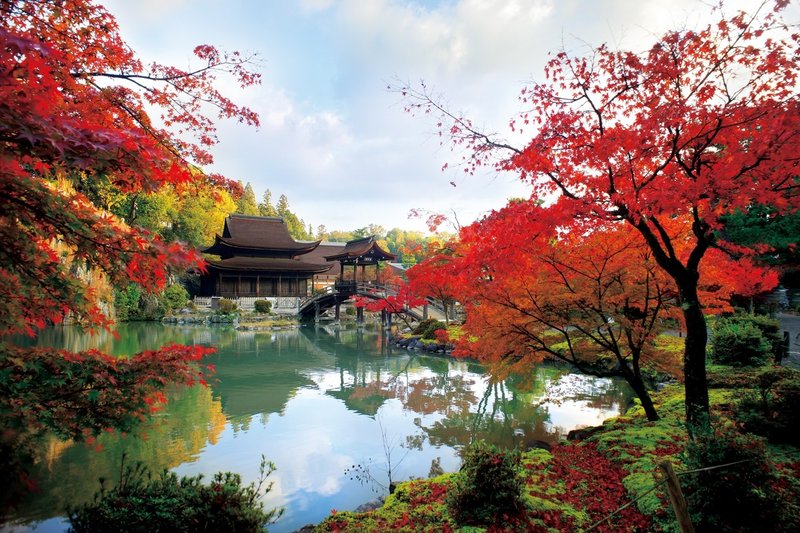 永保寺庭園 禅僧 夢窓国師の名庭を彩る錦の紅葉 岐阜県多治見市虎渓山町 ほんのひととき Note