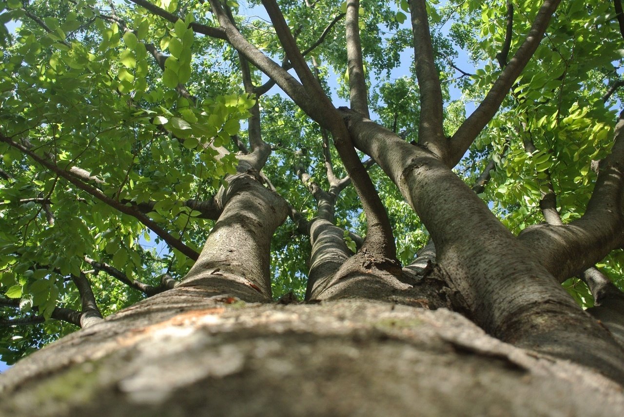 なんか楽しいことないかなーってときは 自分で探しに行く気力がないときで 楽しいことは天から降って こないし そういうときは楽しいことに気がつかない という法則に何年か前に気がついた なので そういうとき きいろい かな Note